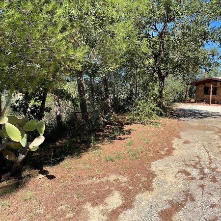 ピアッツァ・アルメリーナ Wonderful House In The Heart Of Sicilyヴィラ エクステリア 写真