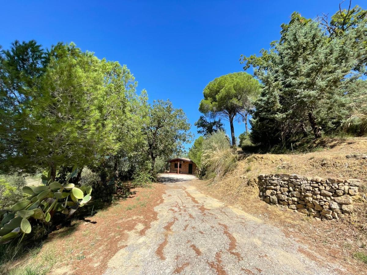 ピアッツァ・アルメリーナ Wonderful House In The Heart Of Sicilyヴィラ エクステリア 写真